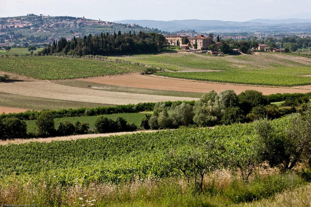 Tenuta Di Petriolo Casa de hóspedes Torrita di Siena Exterior foto