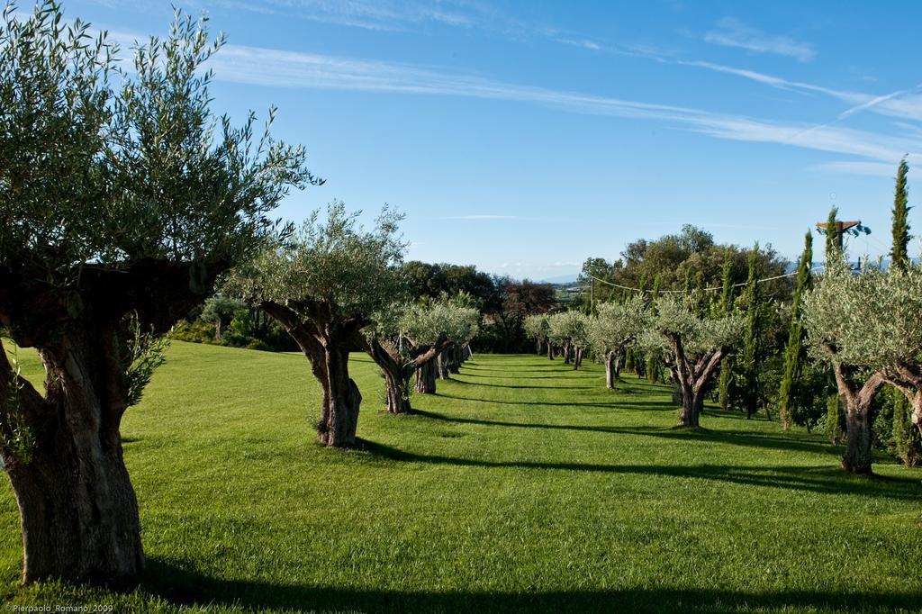 Tenuta Di Petriolo Casa de hóspedes Torrita di Siena Exterior foto