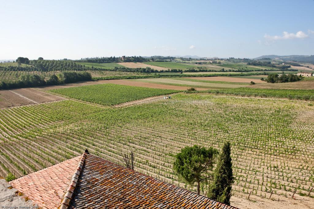 Tenuta Di Petriolo Casa de hóspedes Torrita di Siena Exterior foto