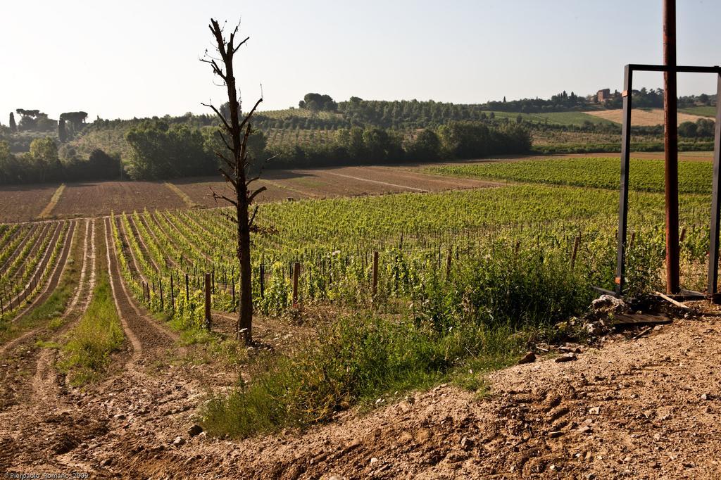 Tenuta Di Petriolo Casa de hóspedes Torrita di Siena Exterior foto