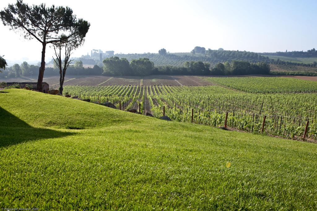 Tenuta Di Petriolo Casa de hóspedes Torrita di Siena Exterior foto